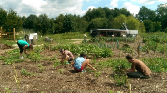 EVG volunteers and other community members help weed a new garden plot.